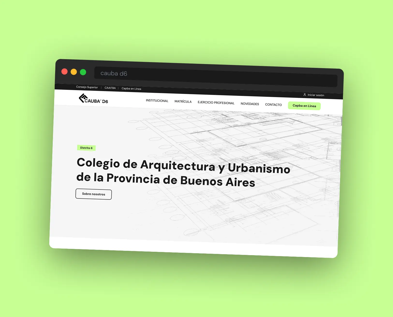 CAUBA D6 — Rediseño web institucional